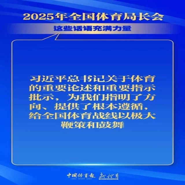 深入剖析赛事动态与阵容变化，第374组实力解析